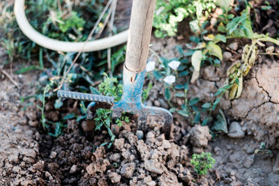Gardening fork stuck in soil