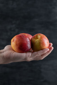 Close-up of hand holding apple