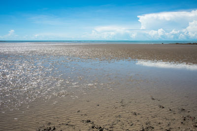 Scenic view of beach against sky