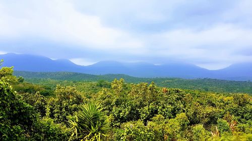 Scenic view of landscape against sky