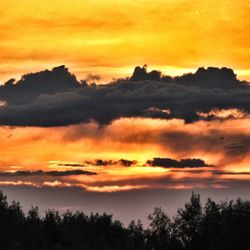 Silhouette of trees against dramatic sky