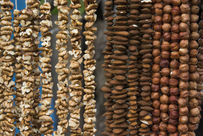 Close-up of hanging dry fruits