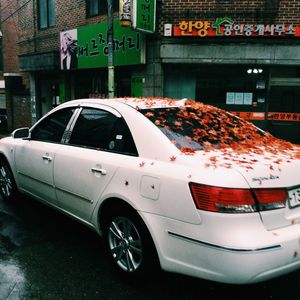 View of car on road