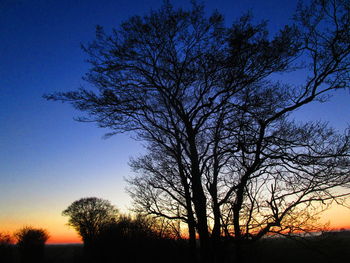 Low angle view of silhouette bare trees against sky at sunset