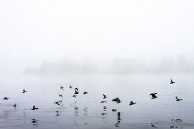 Scenic view of sea in foggy weather