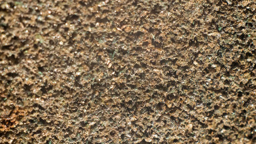 Full frame shot of textured surface