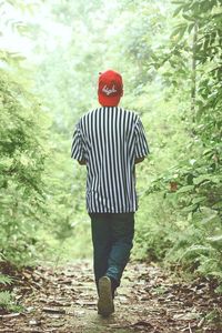 Rear view of young man in forest