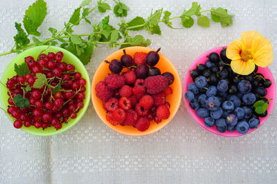 High angle view of fruits on table