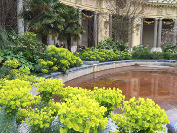 Plants growing in garden