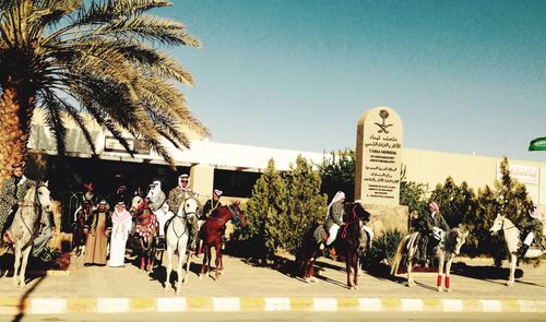 Palm trees against clear sky