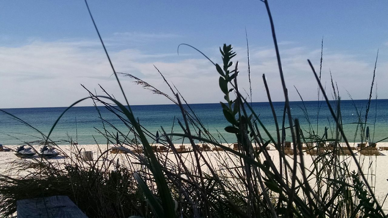 water, sea, horizon over water, sky, tranquility, tranquil scene, plant, grass, nature, beach, scenics, beauty in nature, shore, growth, idyllic, cloud, ocean, no people, coastline, blue