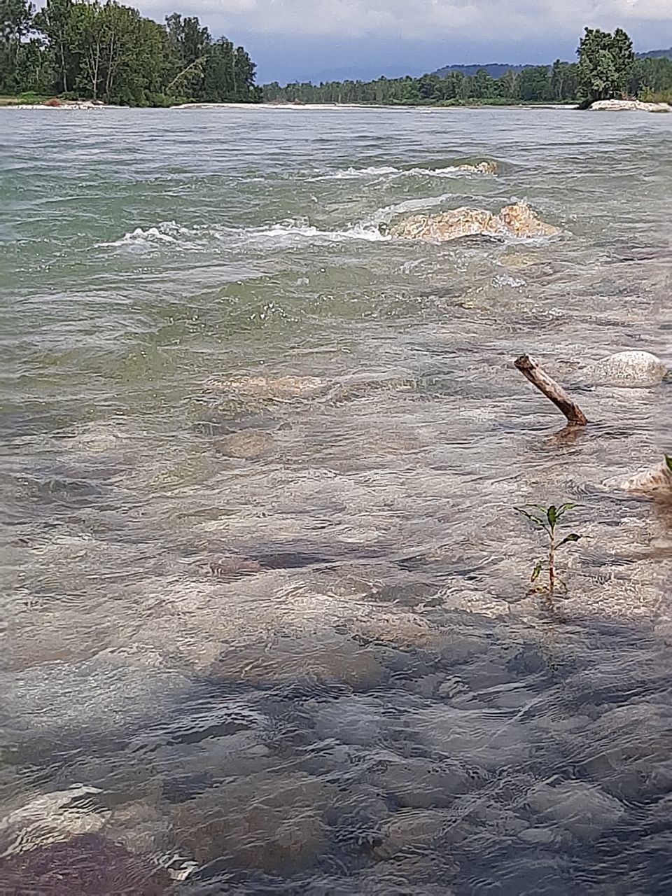 SCENIC VIEW OF BEACH