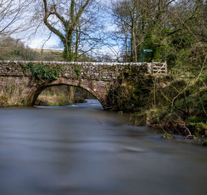 Bridge over bare trees against sky