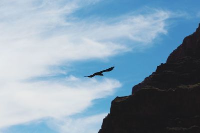 Low angle view of seagull flying against sky