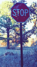 Information sign on tree