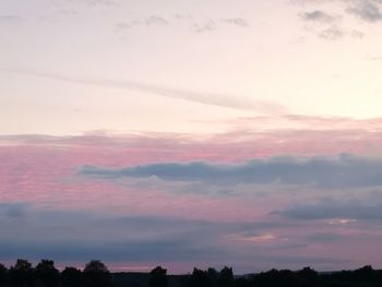 Low angle view of silhouette trees against sky during sunset