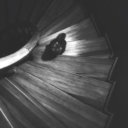 High angle view of hardwood floor