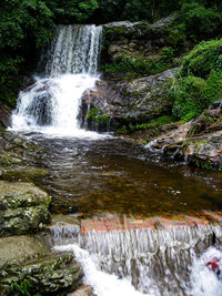 Scenic view of waterfall in forest