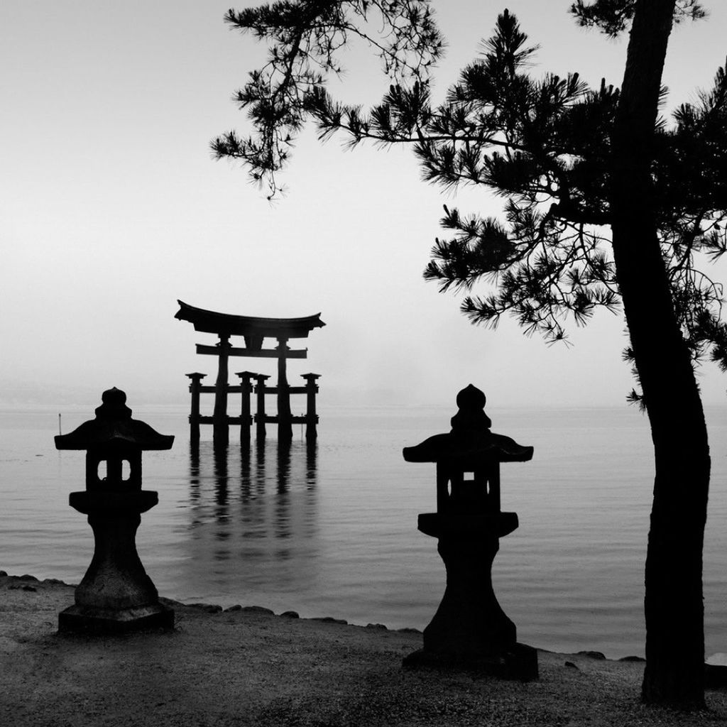 water, silhouette, sea, sculpture, statue, tranquility, art and craft, art, human representation, clear sky, nature, tranquil scene, sky, tree, creativity, reflection, outdoors, scenics, beach, no people