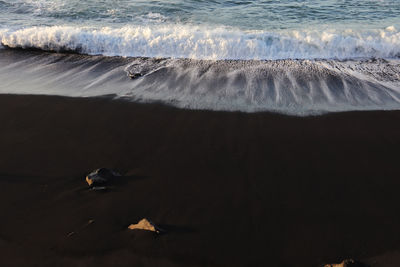 High angle view of ducks swimming in lake