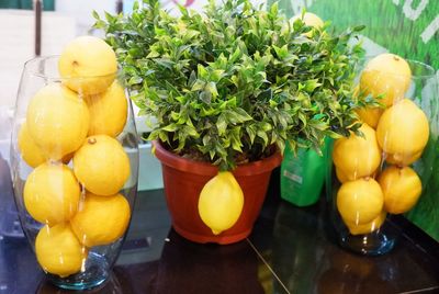 Close-up of fruits for sale