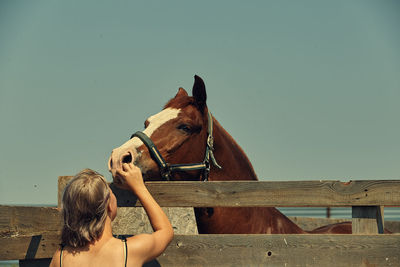 Rear view of girl touching horse against sky