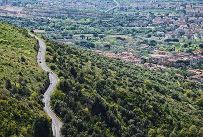 High angle view of road on tree mountains