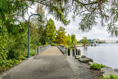 Footpath amidst trees and plants