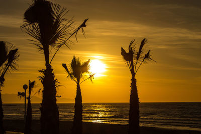 Silhouette palm trees on beach against sky during sunset