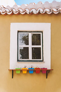 Close-up of window on roof