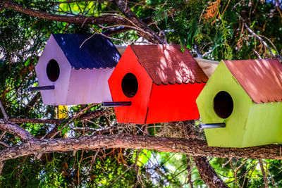 Close-up of tree in field