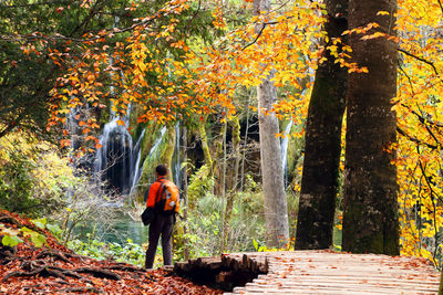 People standing by trees in forest during autumn