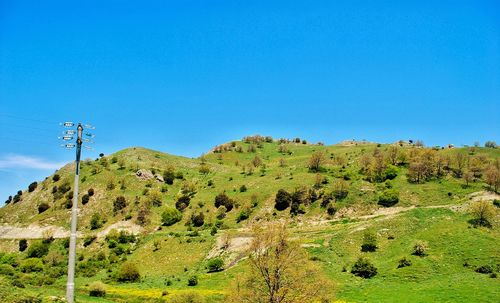 Scenic view of landscape against clear blue sky