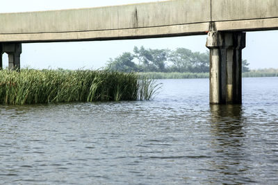 Scenic view of river against blue sky