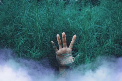 Close-up of hand on grass