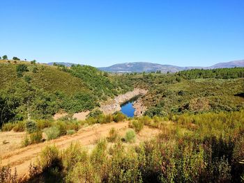 Scenic view of landscape against clear blue sky