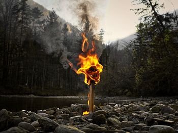 Bonfire on rock in forest