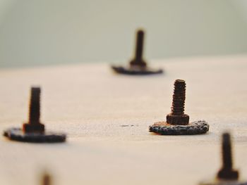 Close-up of nut on sand