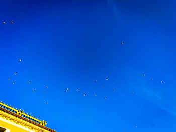 Low angle view of birds flying against clear blue sky