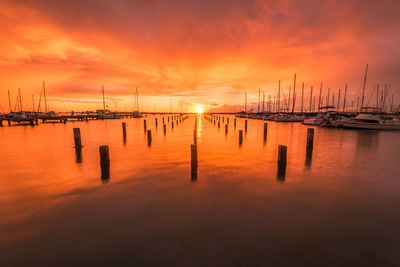 Sailboats in marina at sunset