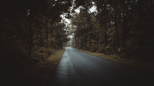 Empty road along trees in forest