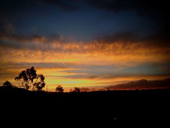 Silhouette of trees at sunset