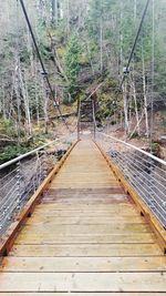 Footbridge in forest