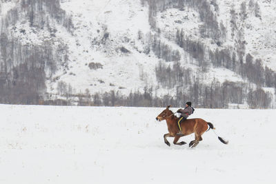 Horse running on snow field