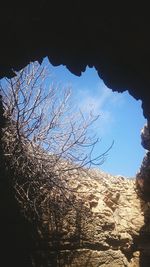 Low angle view of bare tree against sky