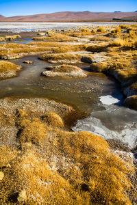 Frozen water at the shore of salar del quisquiro in the altiplano, atacama desert, chile