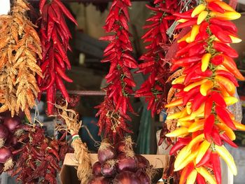 Close-up of red chili peppers for sale at market