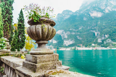 Close-up of plants against lake and mountains