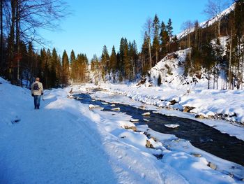 Woman on snow covered land by trees against sky