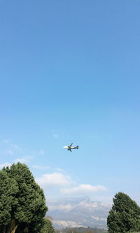 Low angle view of airplane flying in sky